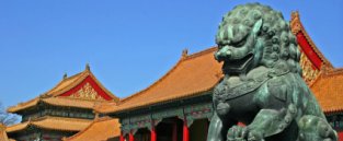 Asia Gap Year