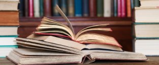 Choosing a degree in New Zealand