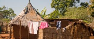 Community development