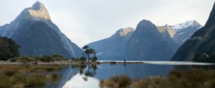 Why study in New Zealand?