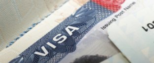 New Zealand student visas