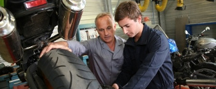 GCSE work experience